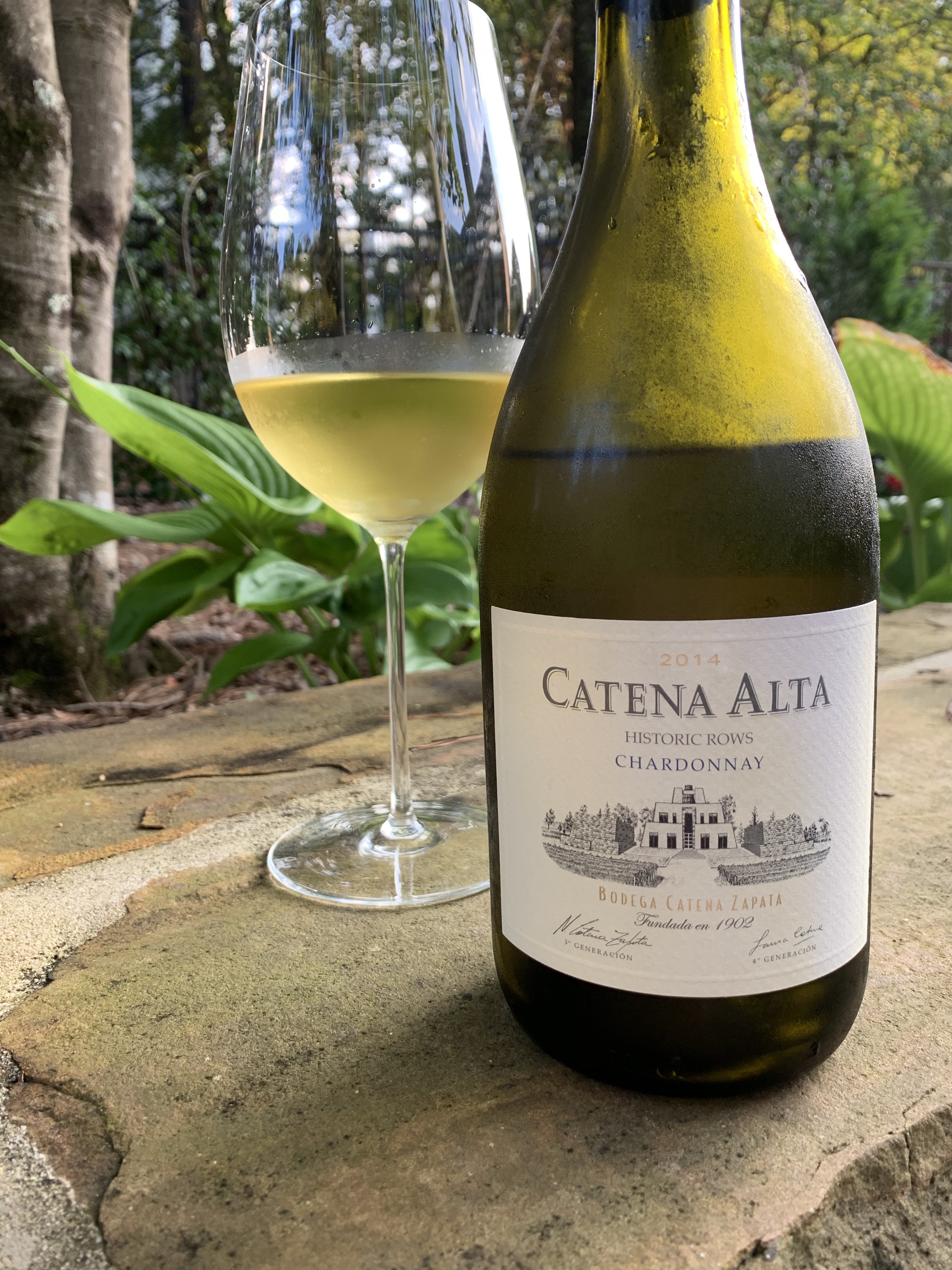 MZ1oTf5pTA+Oyt8gwwPVlg